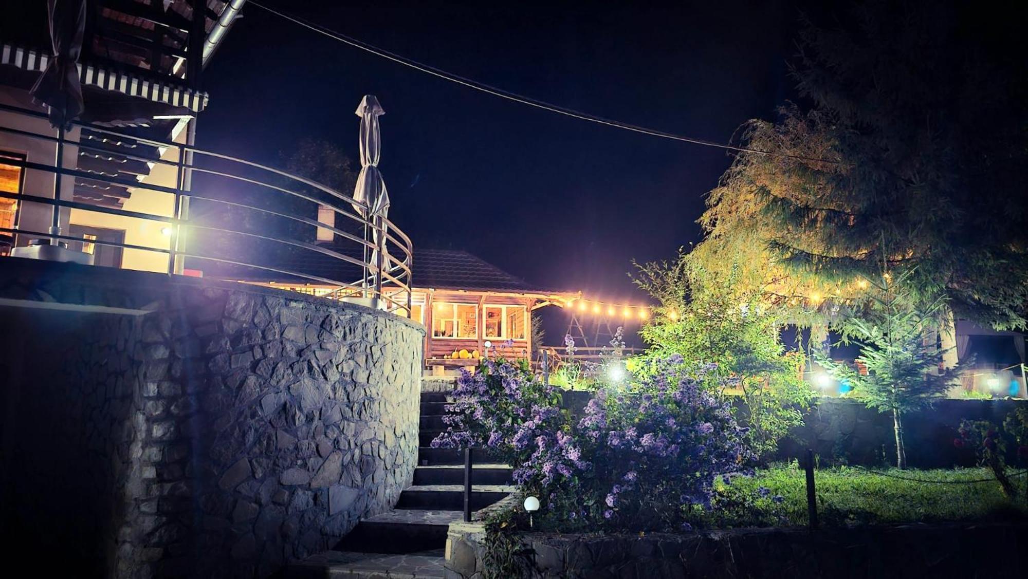 Pensiunea La Taverna Trăisteni Exterior foto