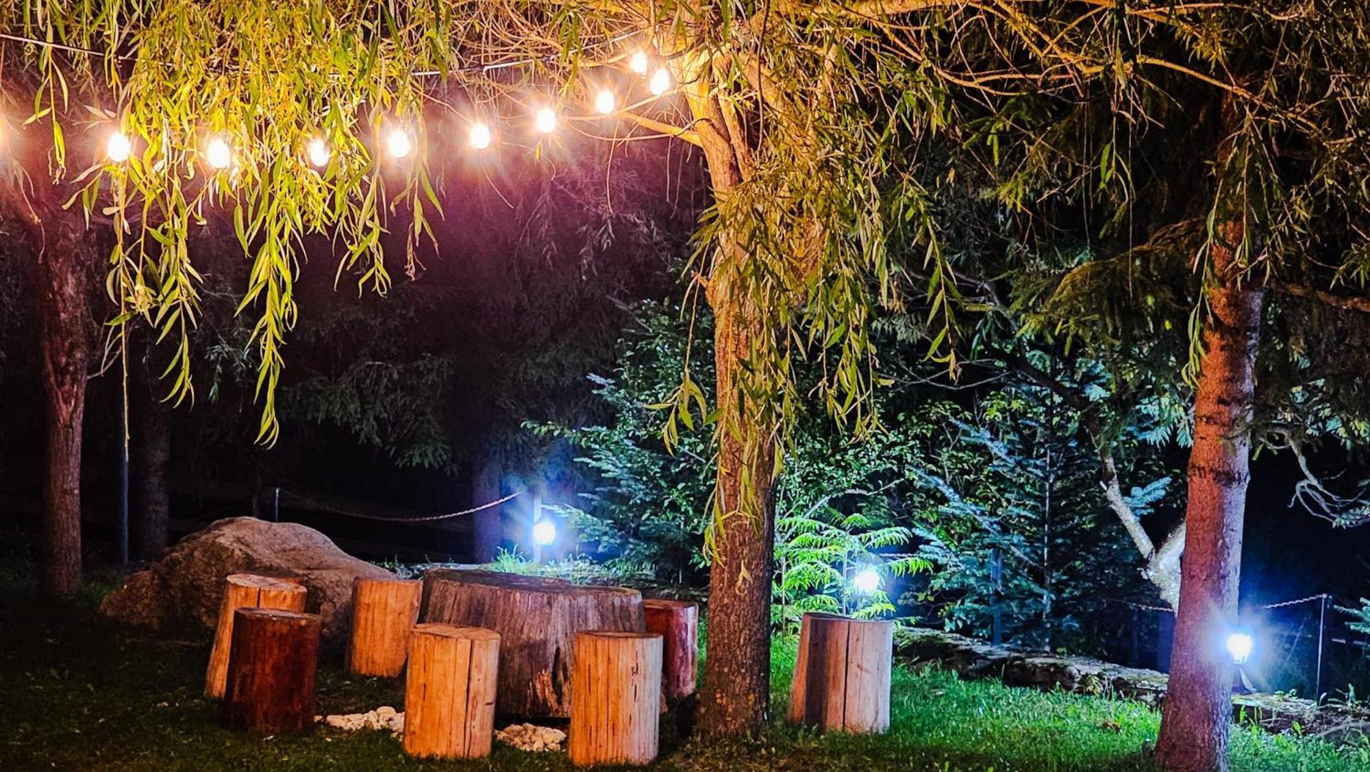Pensiunea La Taverna Trăisteni Exterior foto