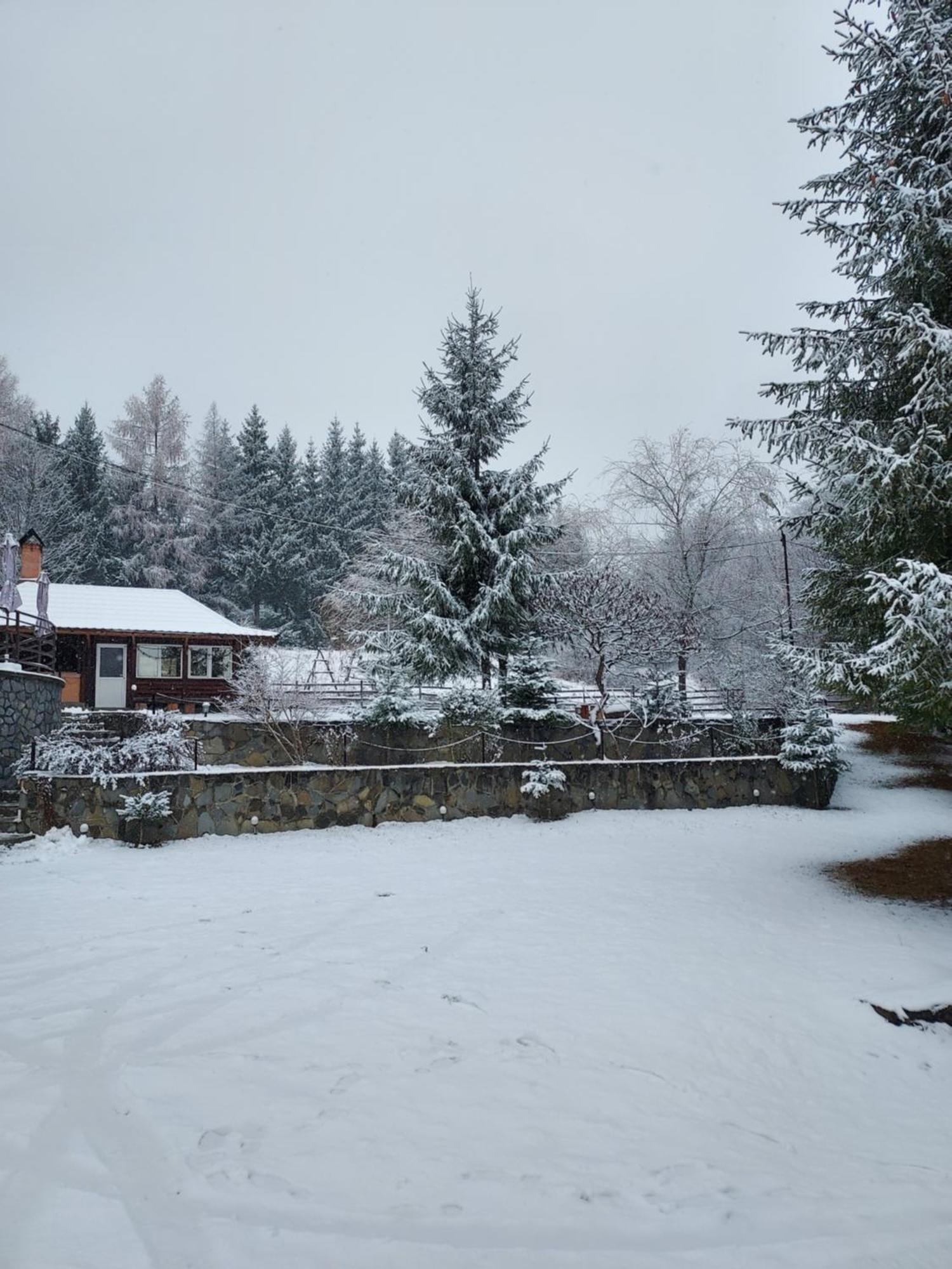 Pensiunea La Taverna Trăisteni Exterior foto